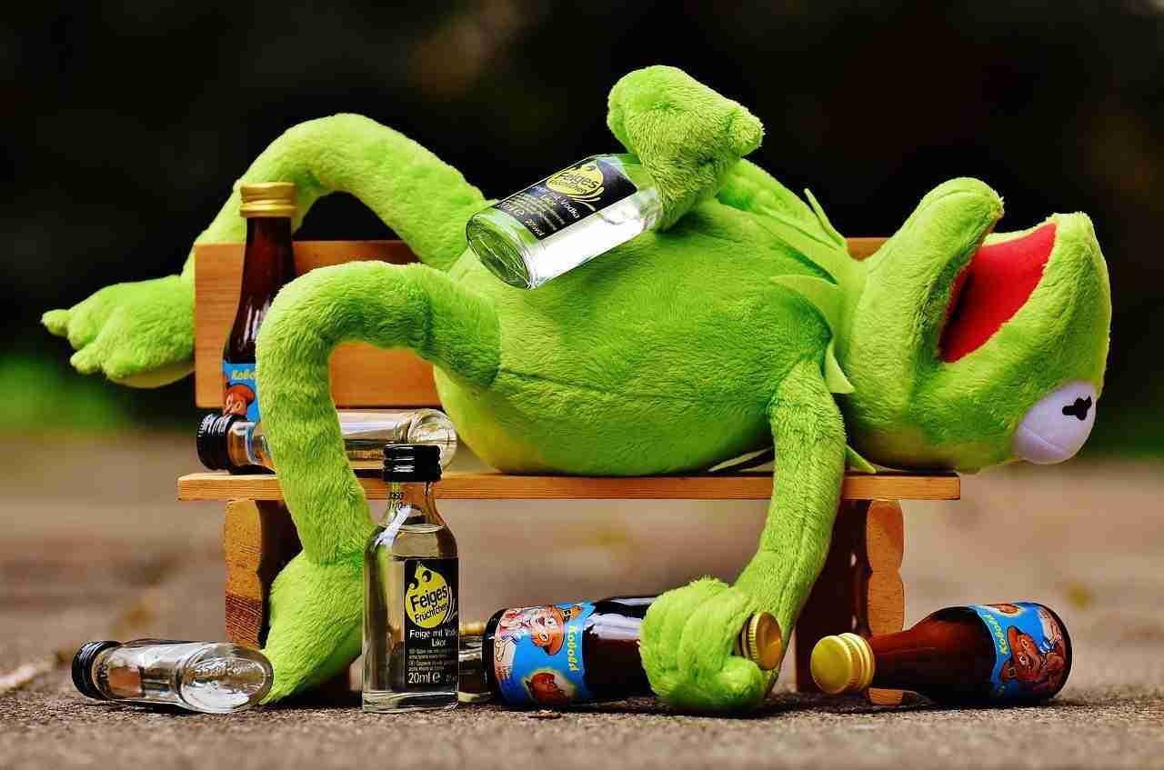 drink-frog