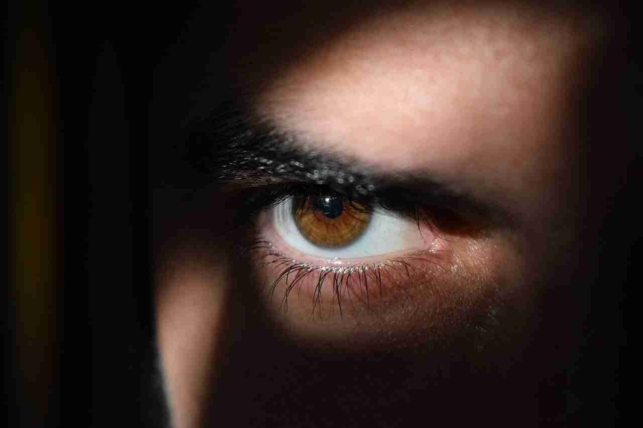 track-someone-whatsapp-messages