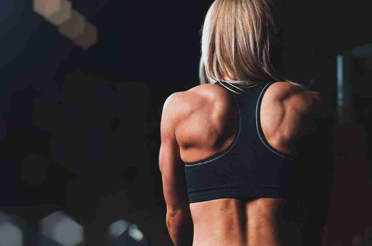 gym-bodybuilding-fitness-idea