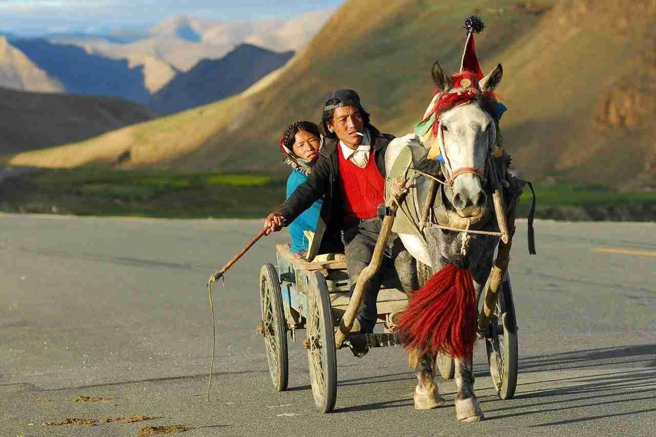 nepal-whatsapp-group